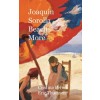 Joaqu?n Sorolla Beach More: Hardcover